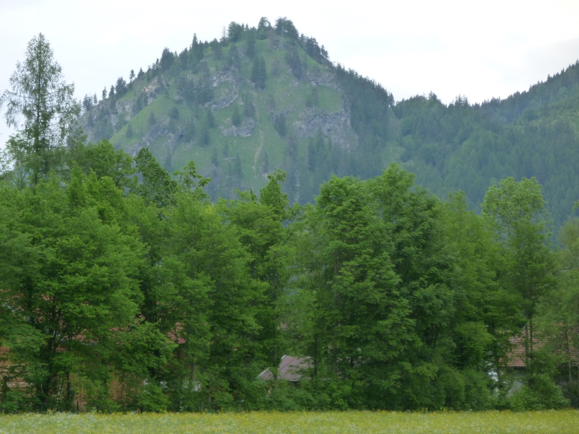 Mountain near by
