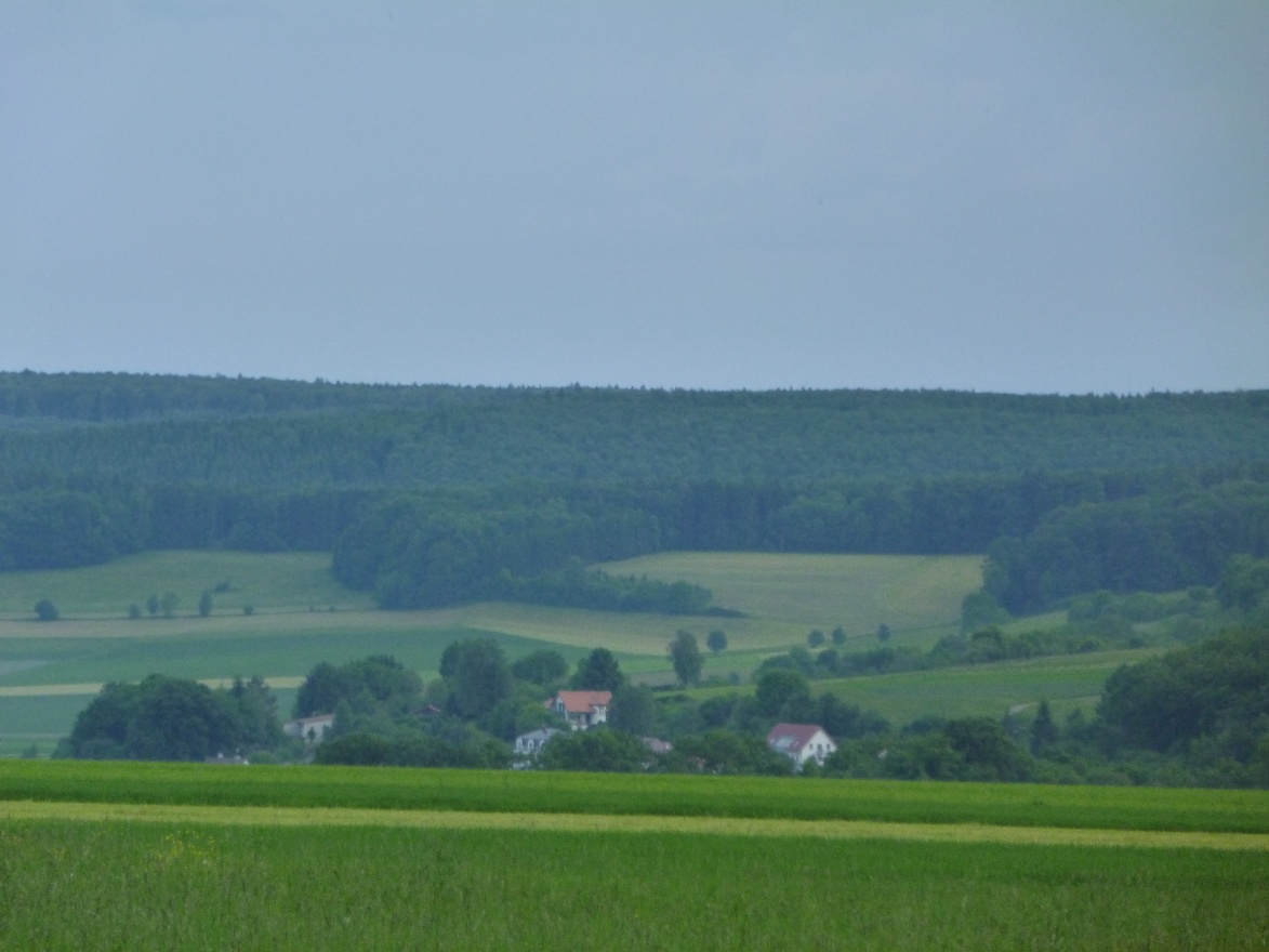 Horizon