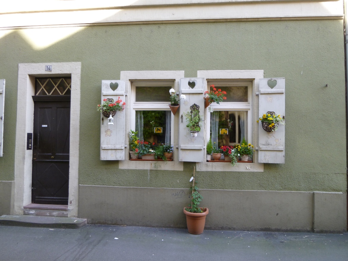 Windows