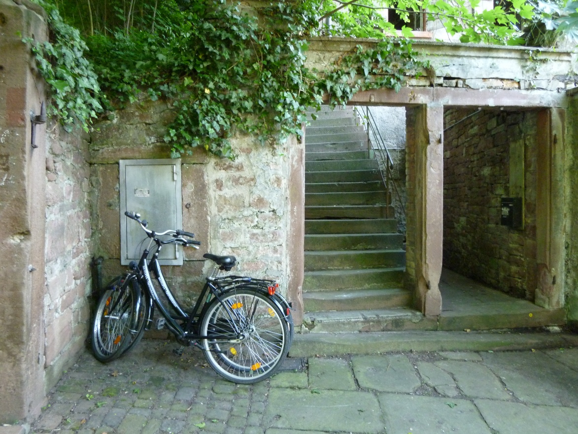 Bikes