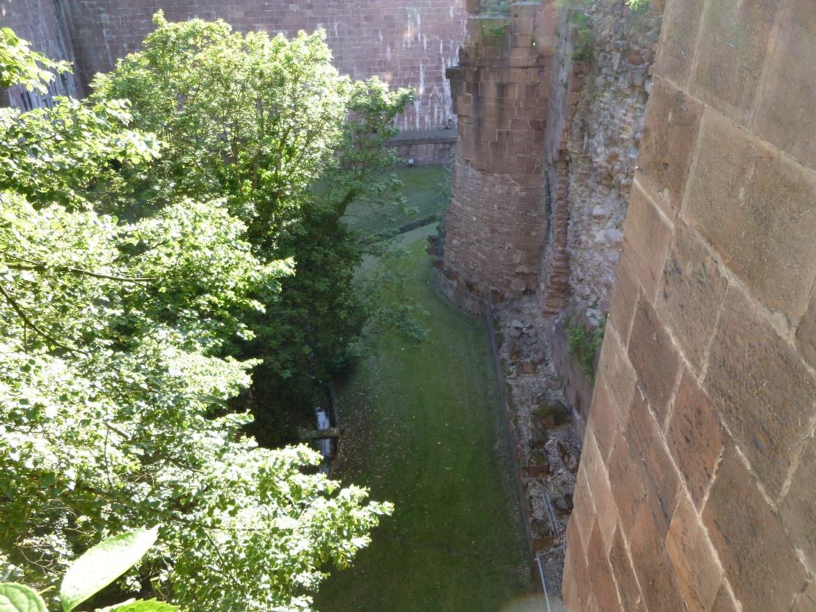 View down