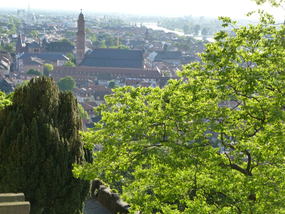 City view