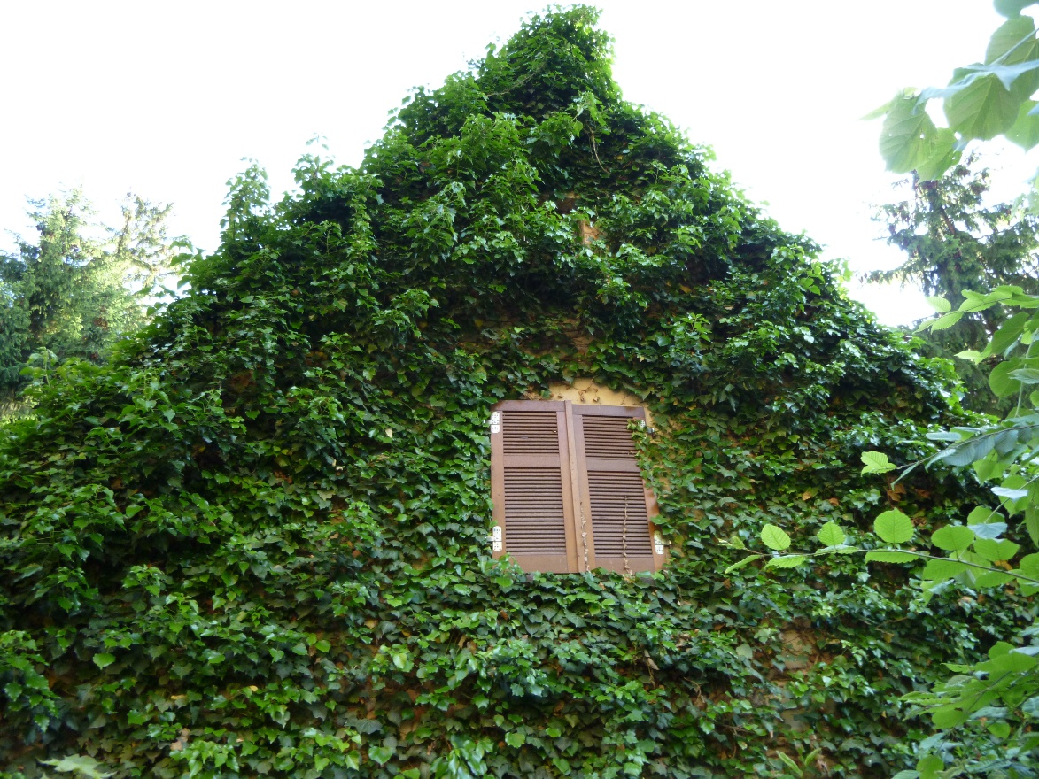 Closed window
