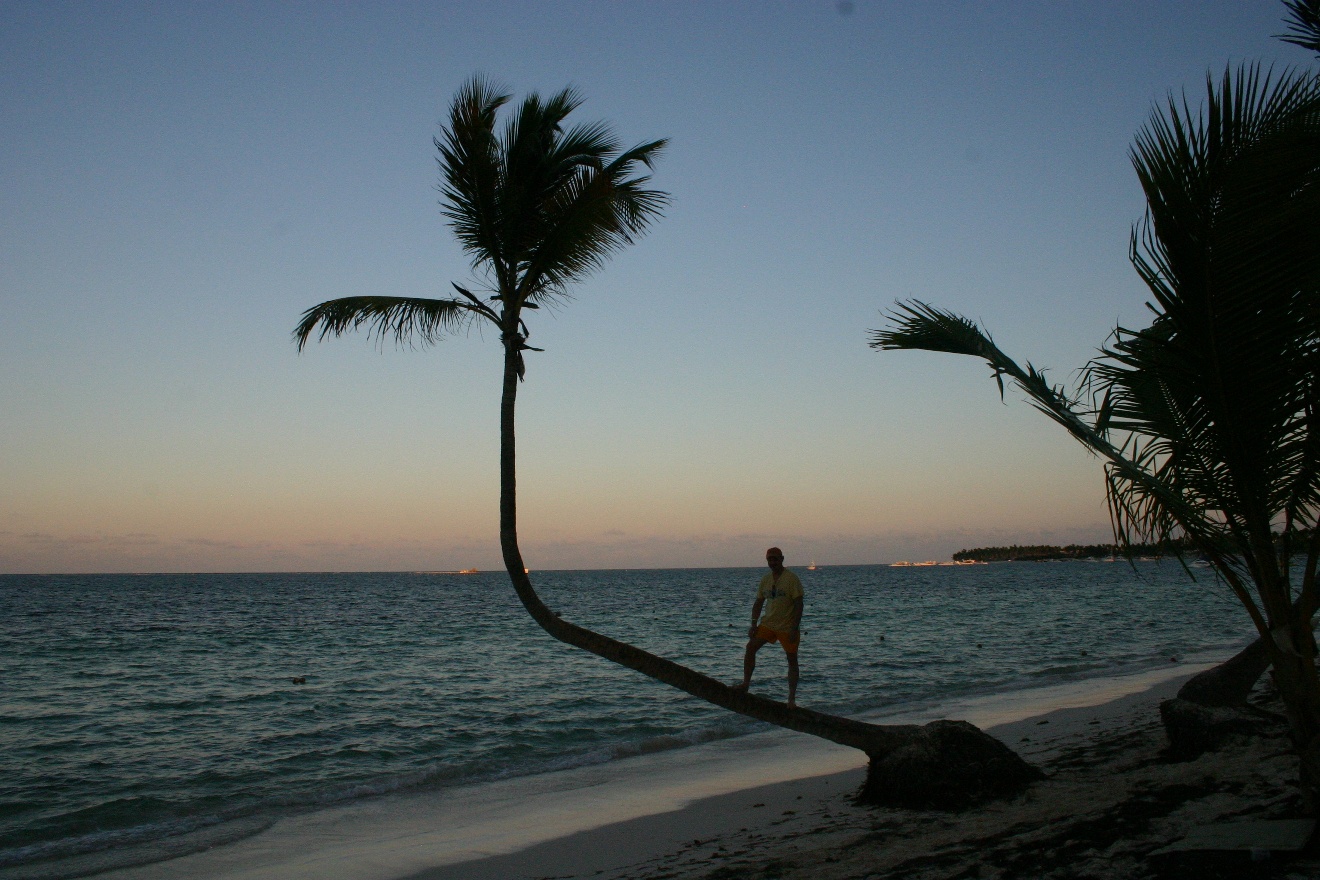 Bending a tree