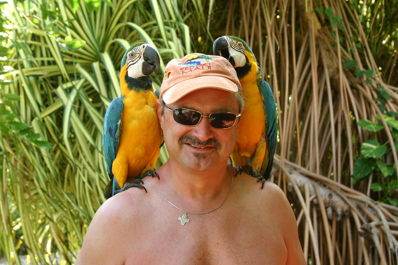 A man and 2 parrots