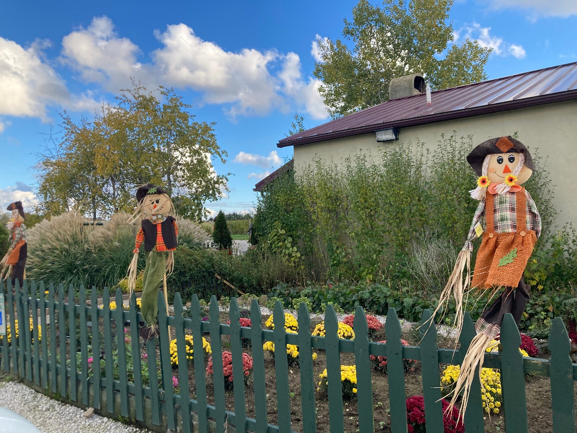 Harpersfield Wineyard