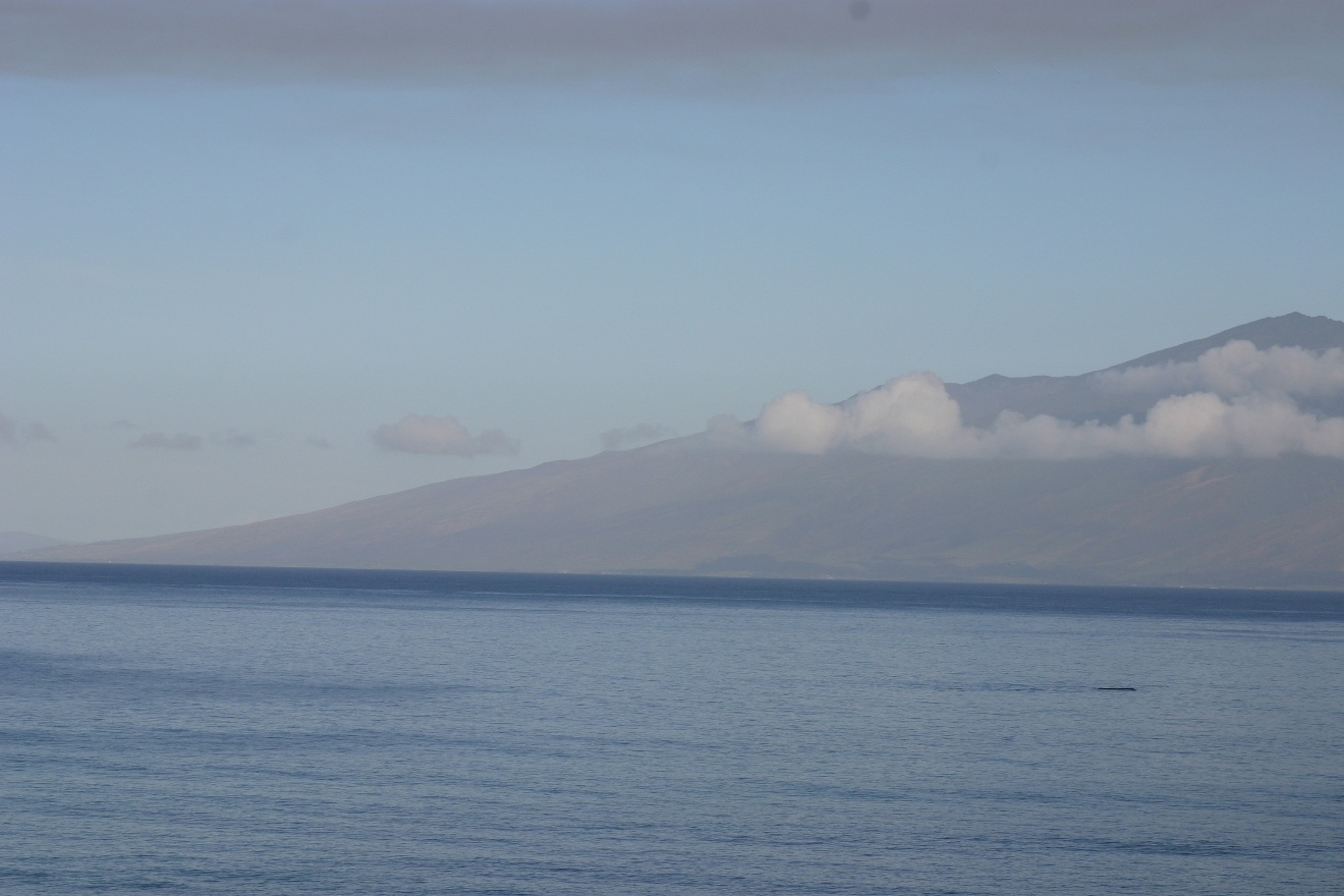 Molokai island