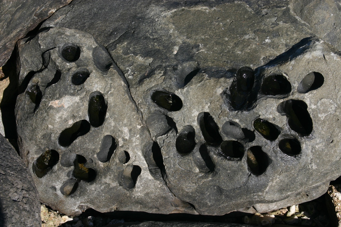Holes