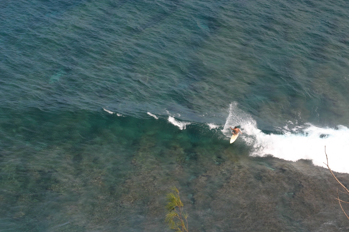 Surf