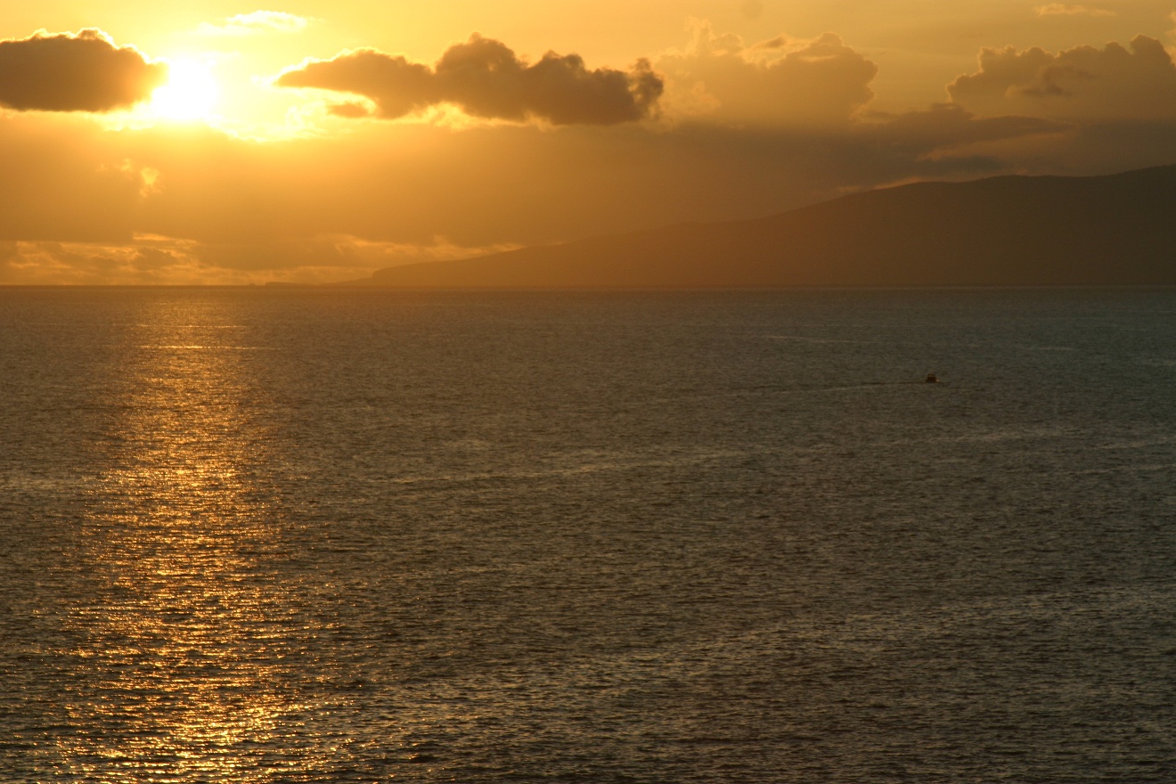 Yellow water
