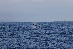 IMG_5286