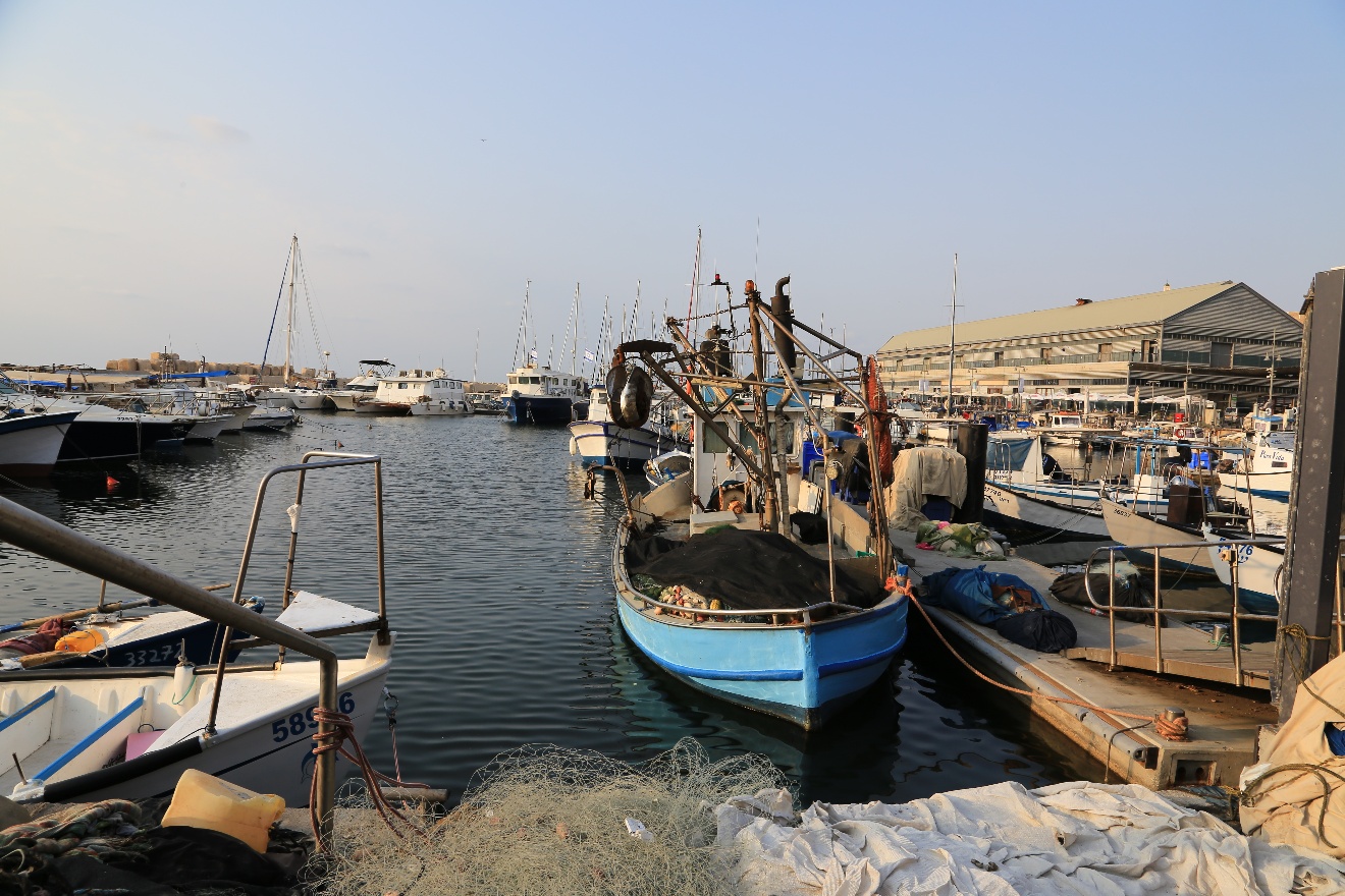 Jaffa Port