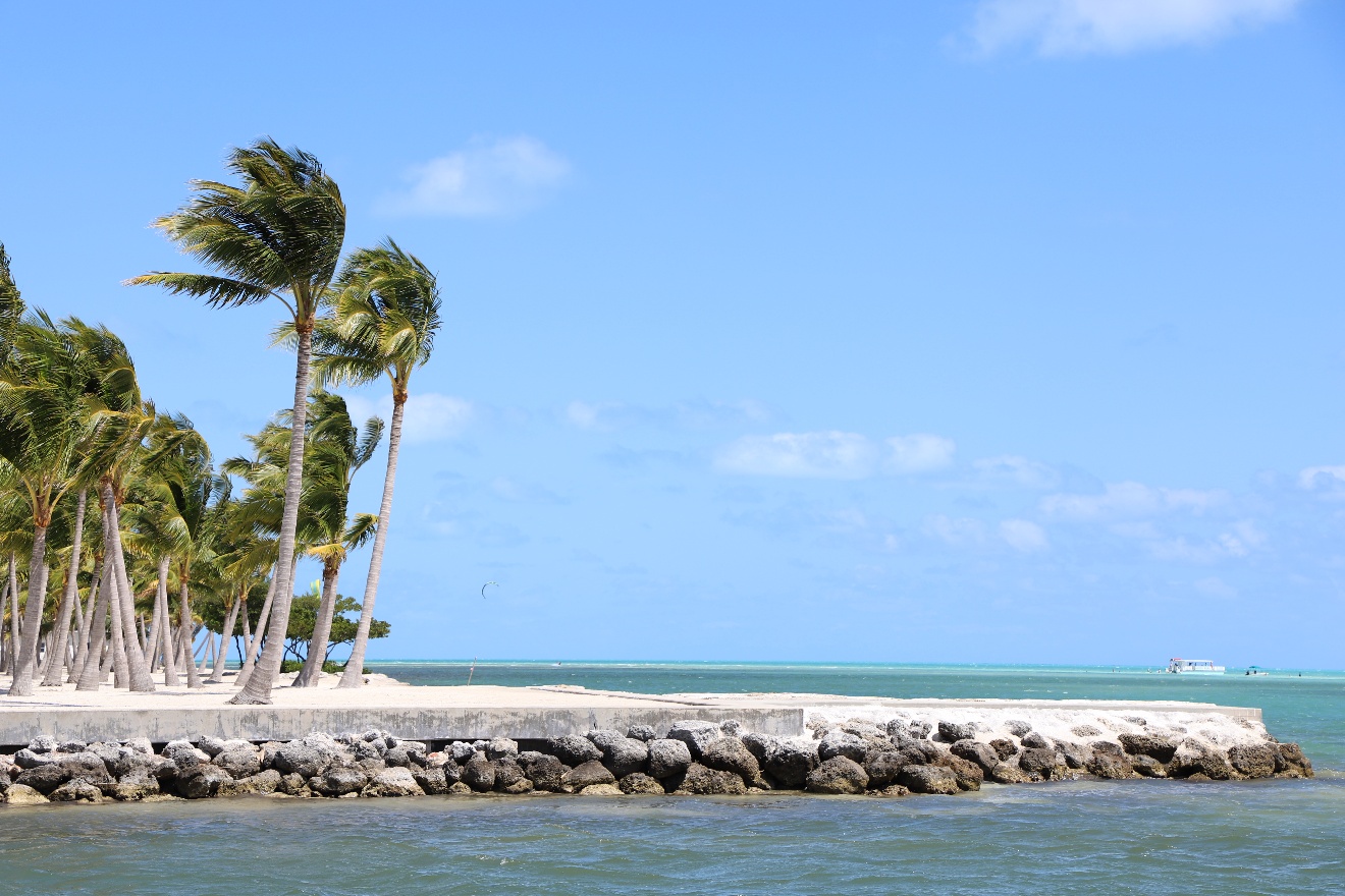 Curry Hammock State Park