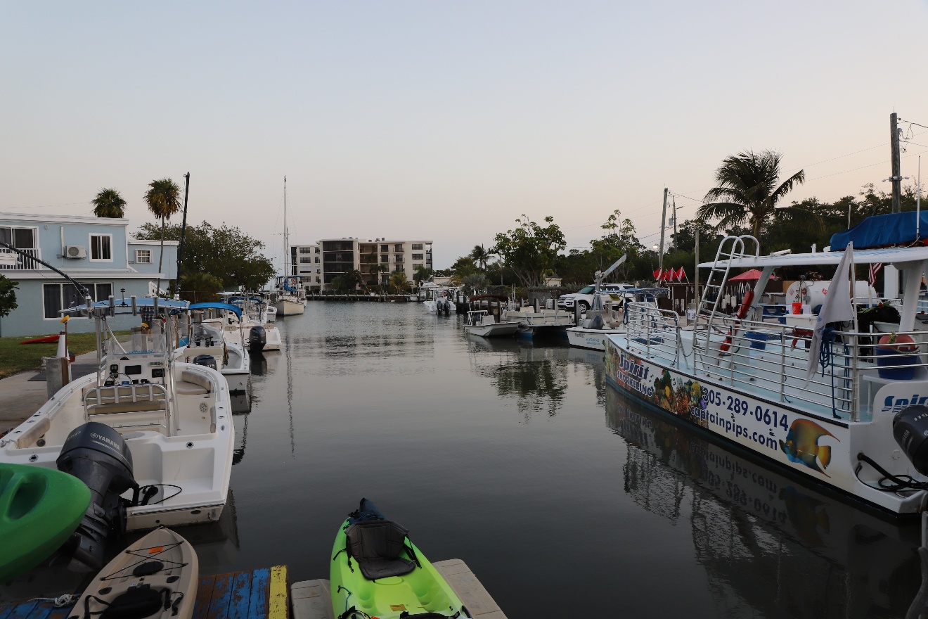 Captain Pip's Marina