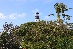IMG_1734