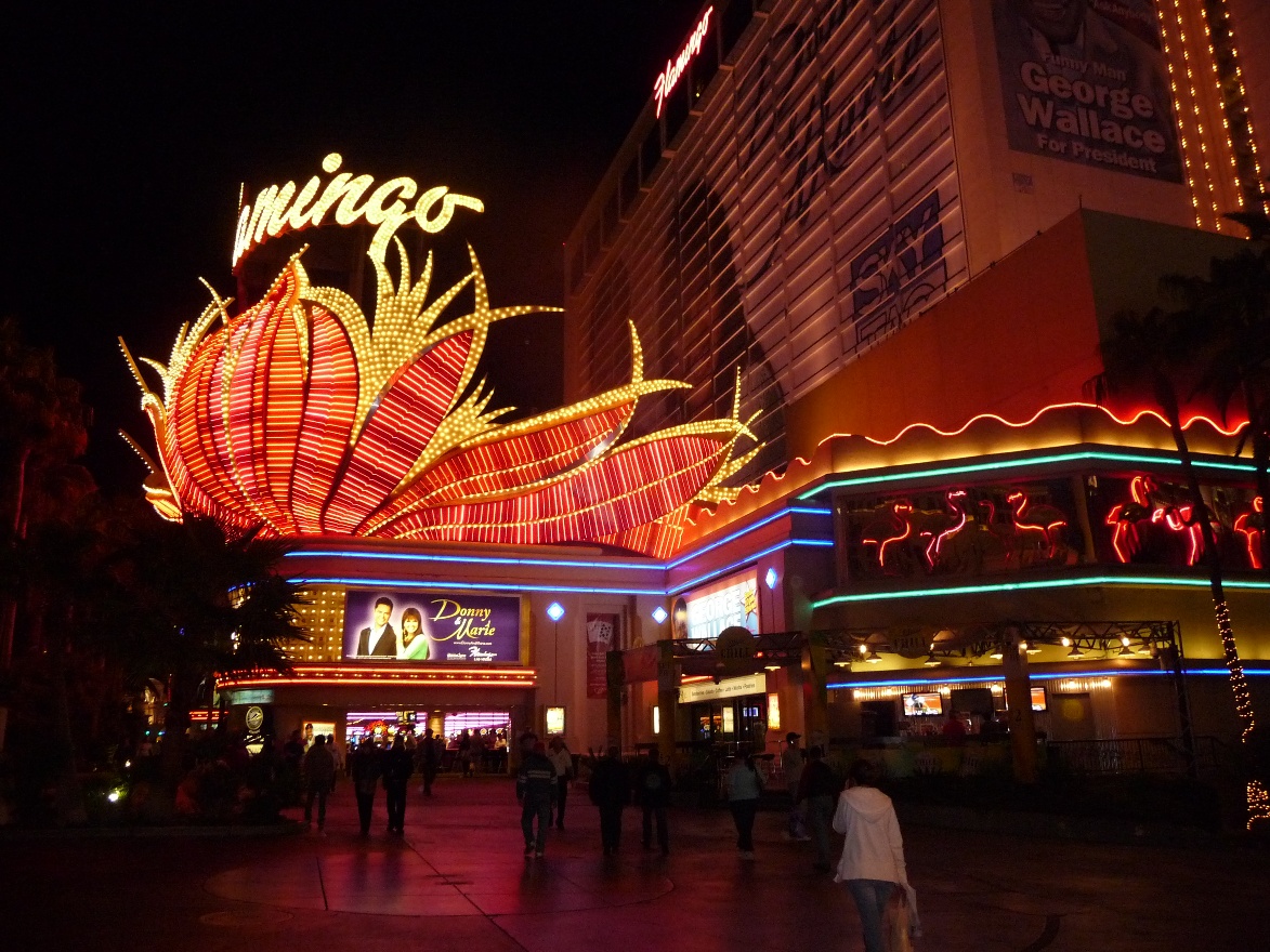 Flamingo at night