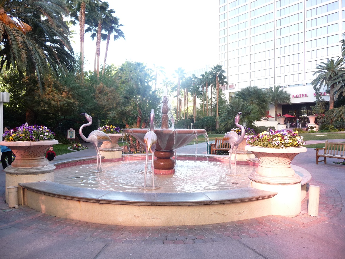 Flamingo fountain