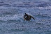 IMG_7428