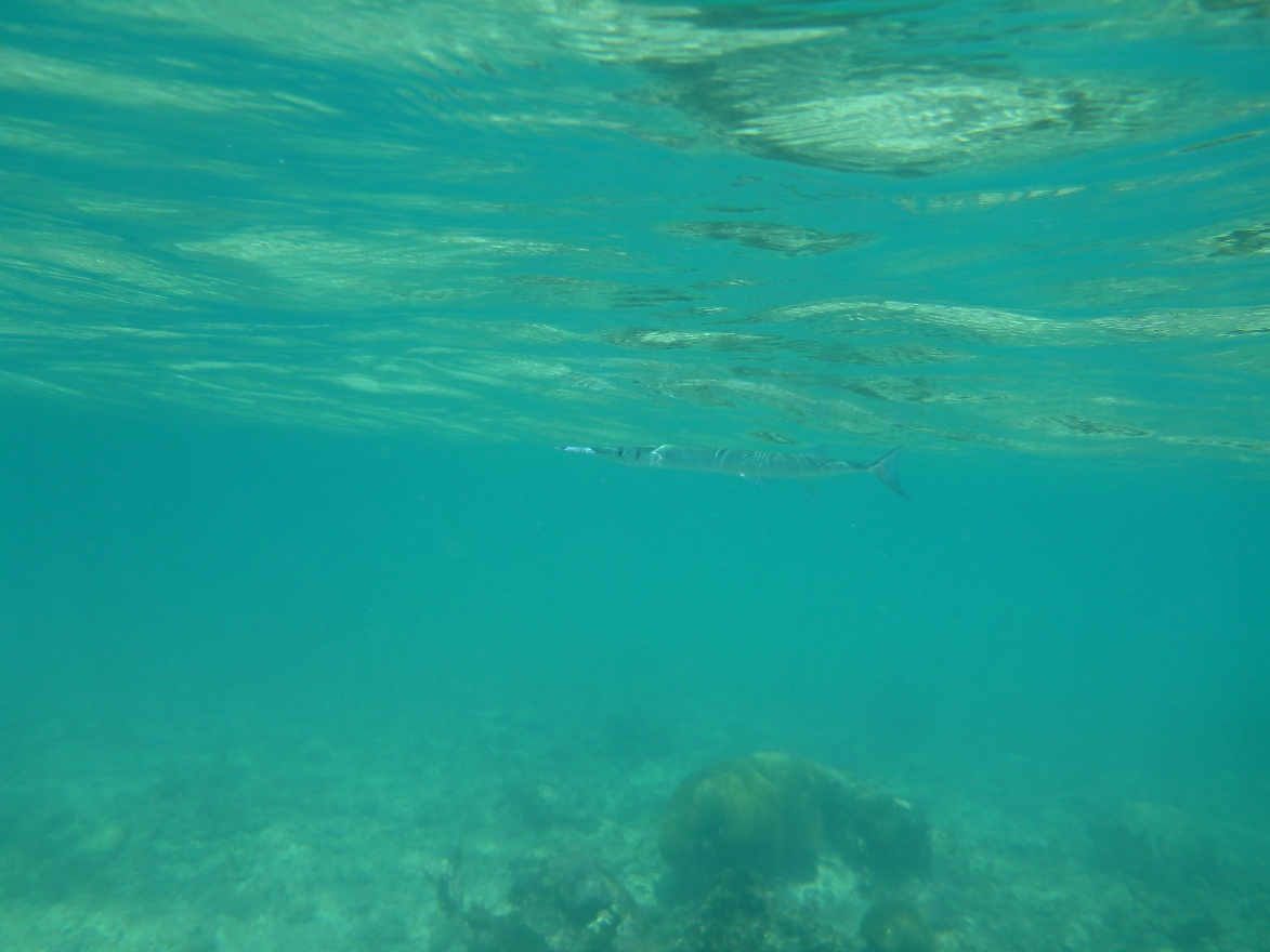 Close to surface