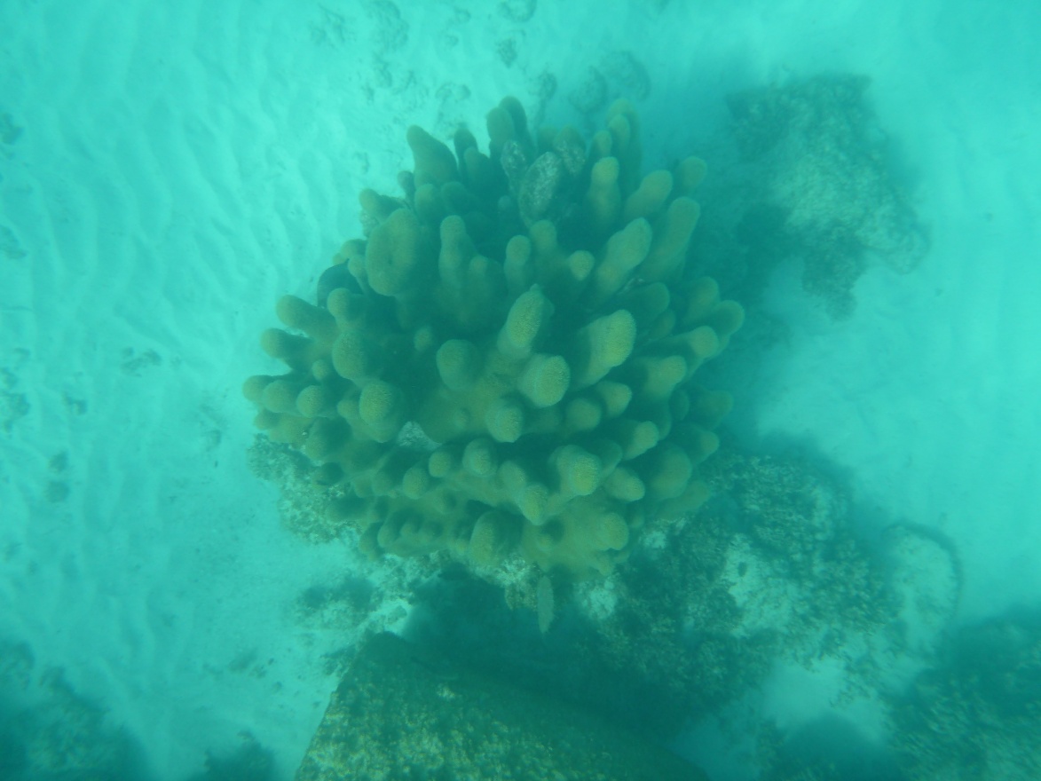 P1010766.JPG