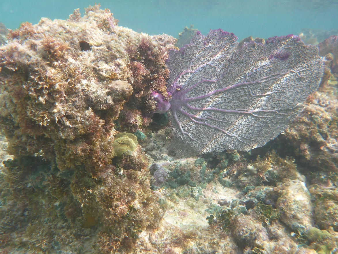 P1010817.JPG