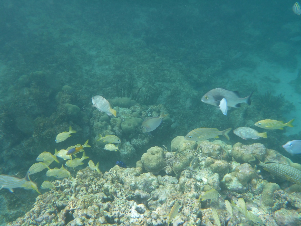 P1010826.JPG