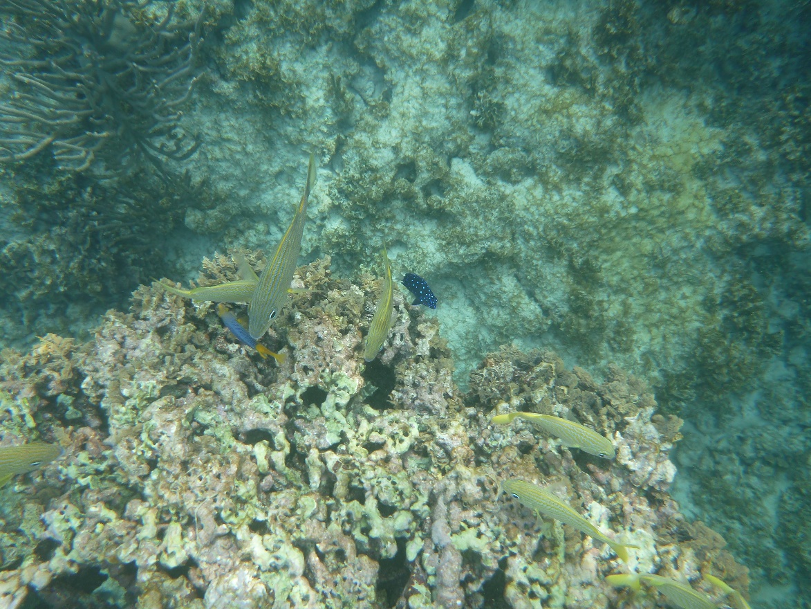 P1010828.JPG