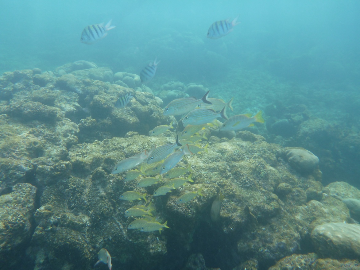P1010843.JPG