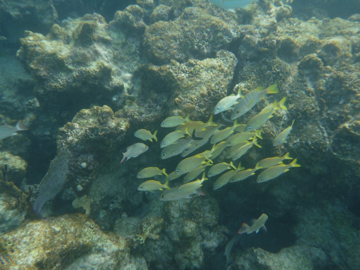P1010844.JPG