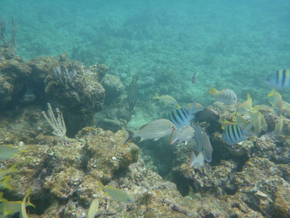 P1010853.JPG