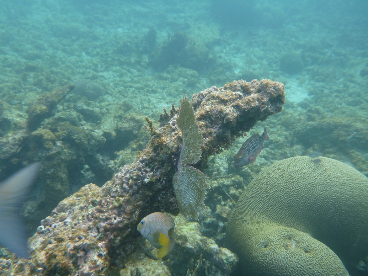 P1010863.JPG