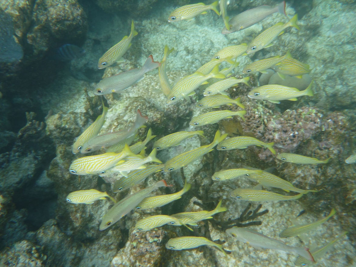 P1010866.JPG