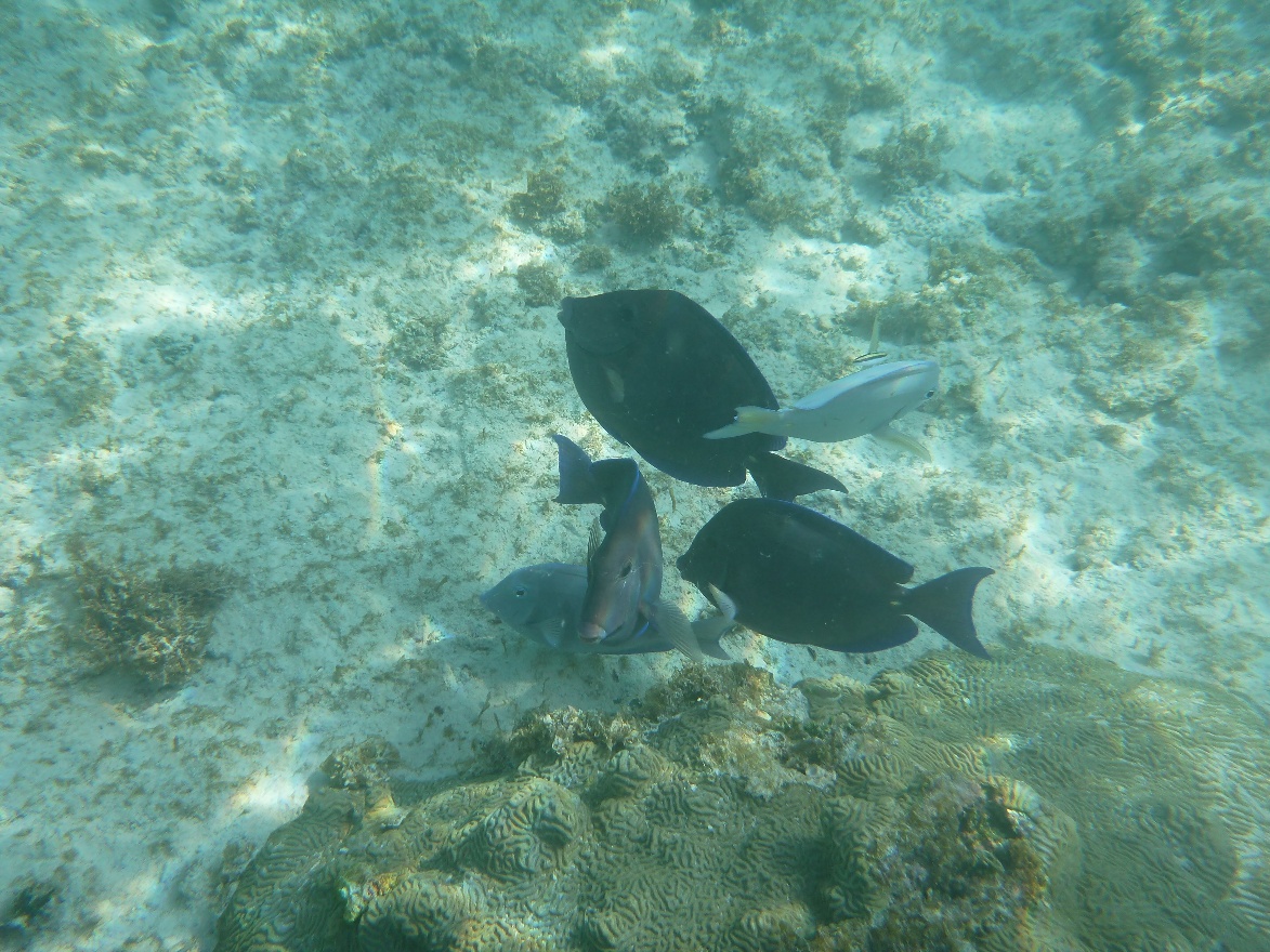 P1010935.JPG