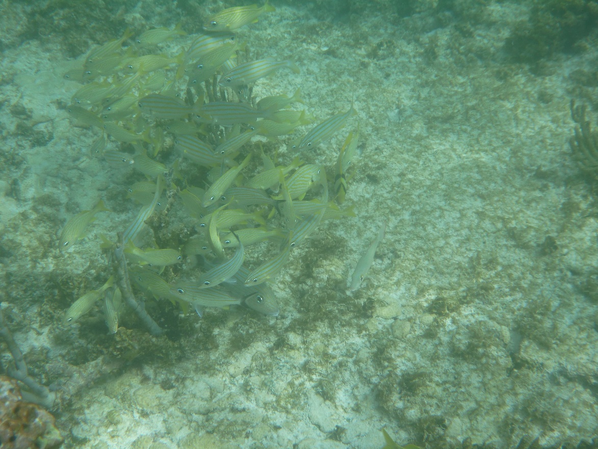 P1010951.JPG