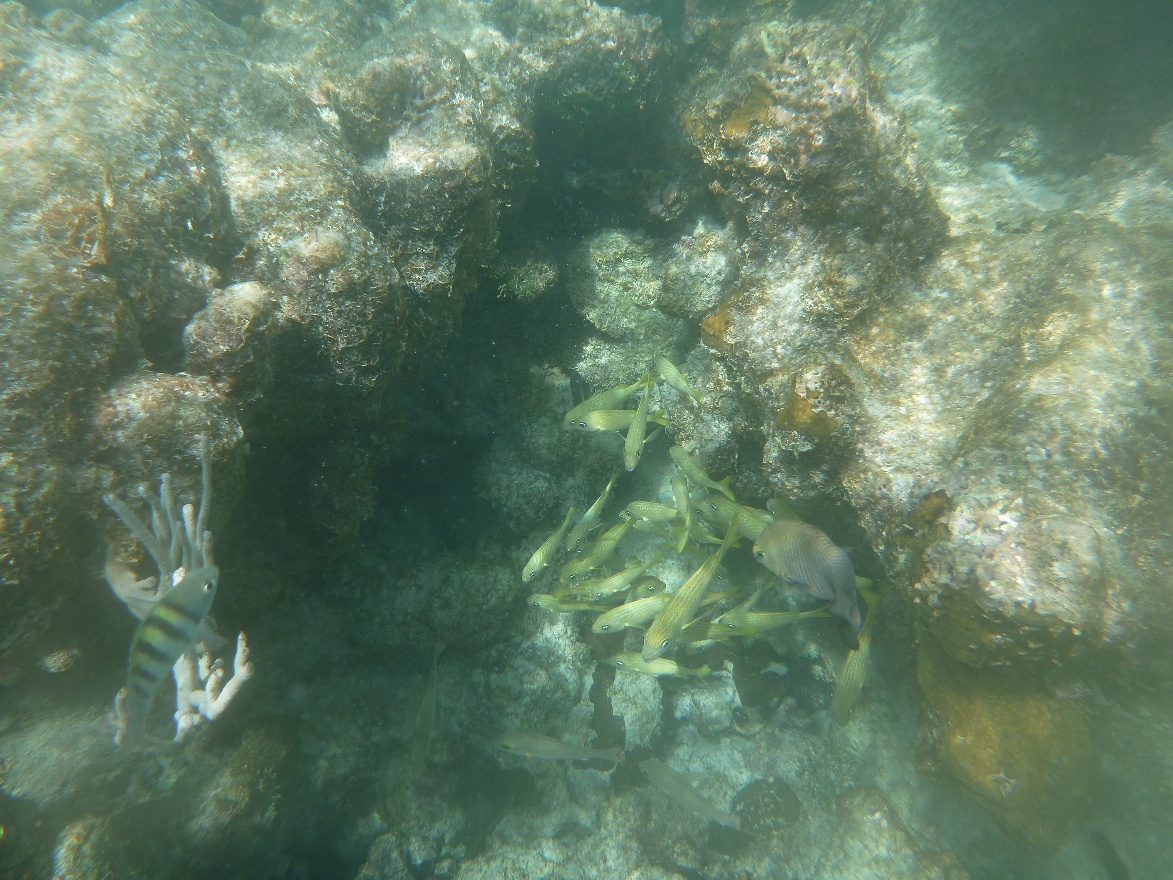 P1020011.JPG