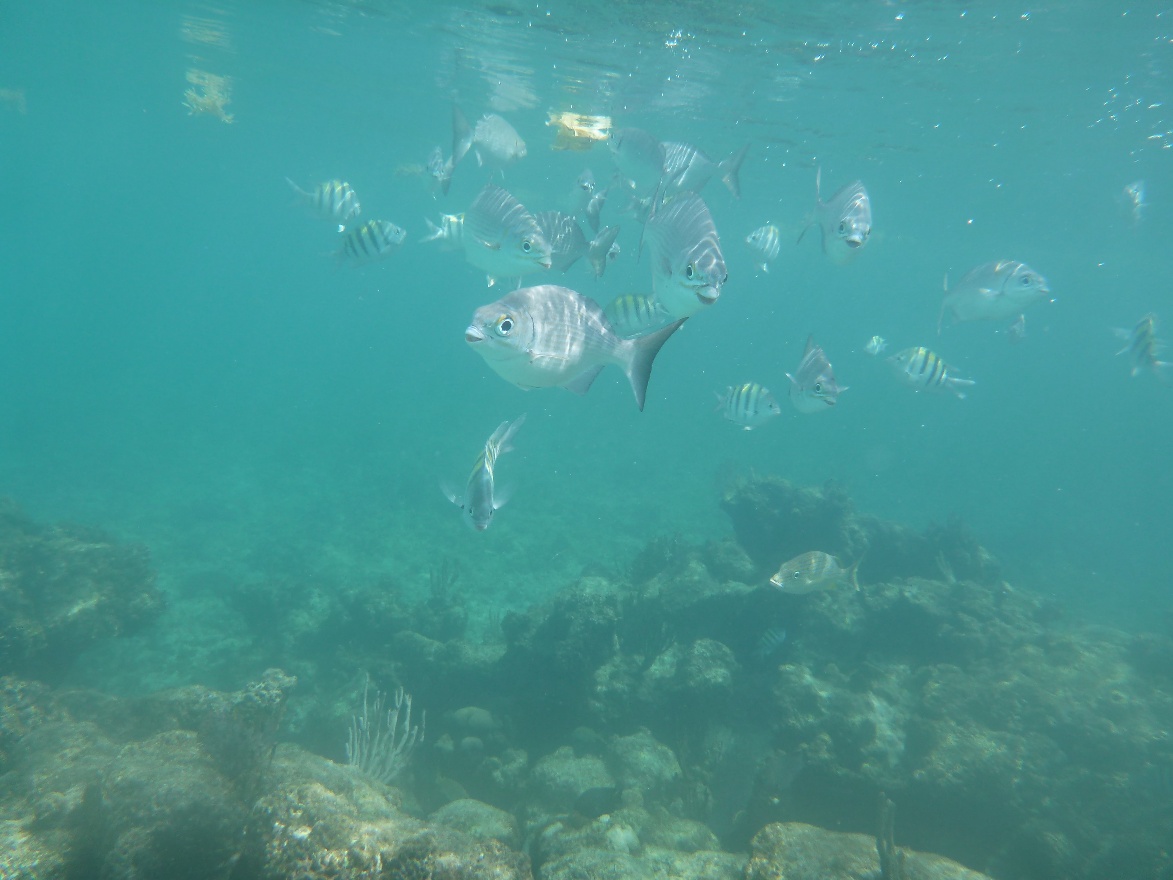 P1020013.JPG
