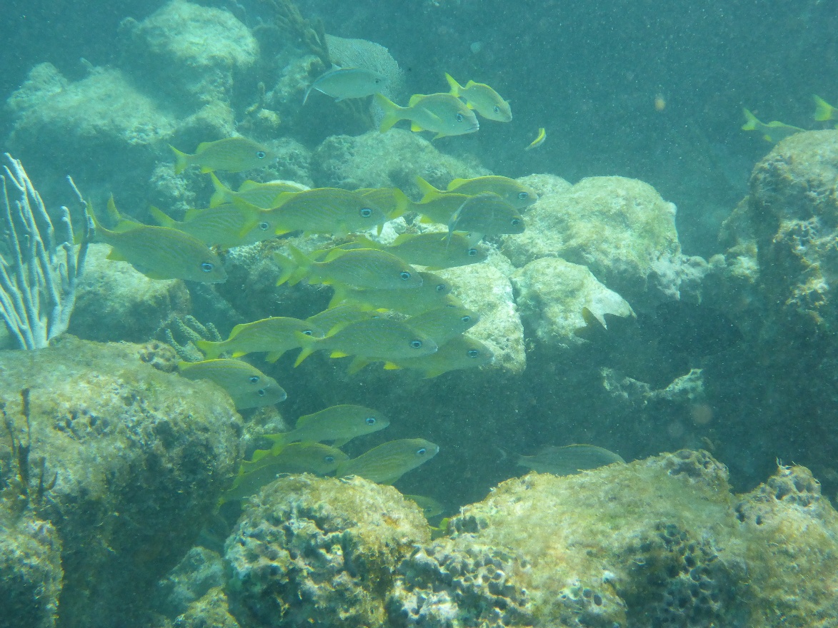 P1020539.JPG
