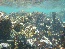 P1010639