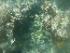 P1020011