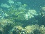 P1020539