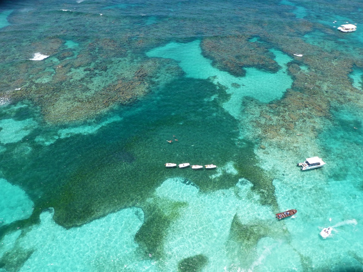 Reef
