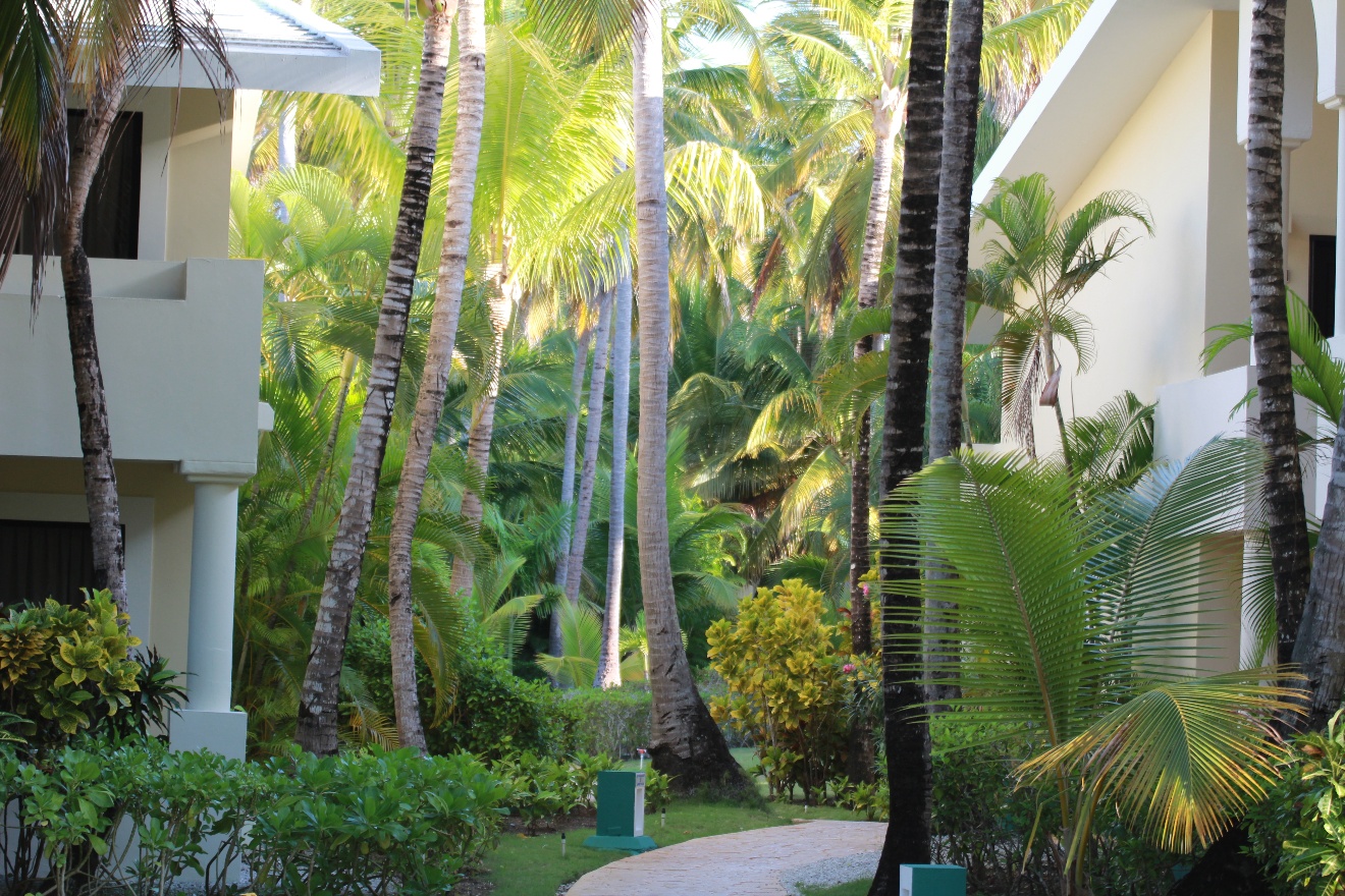 Resort