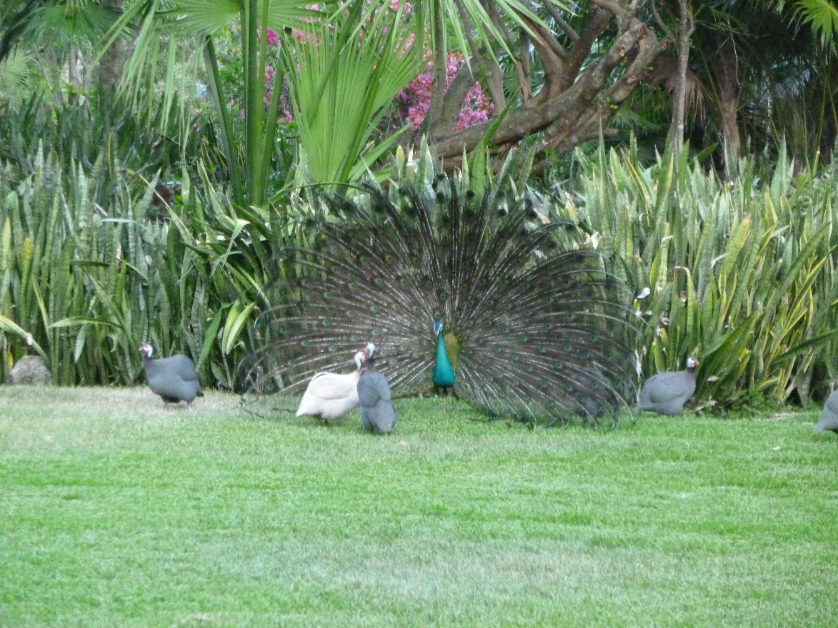 Girls I Love You All