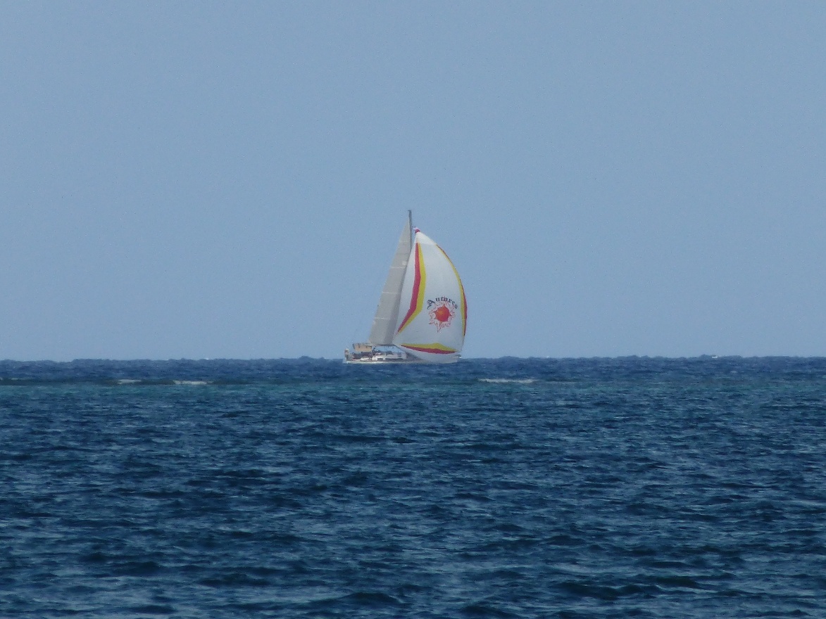 Sail boat 2