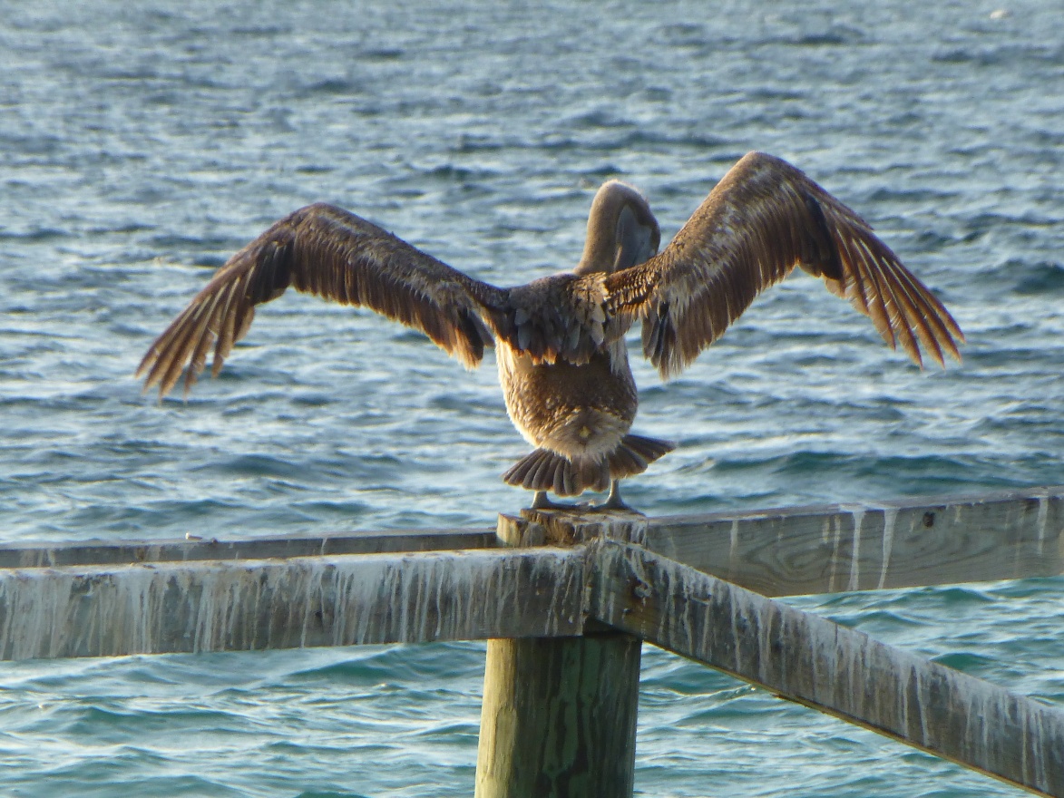 Natural drying machine