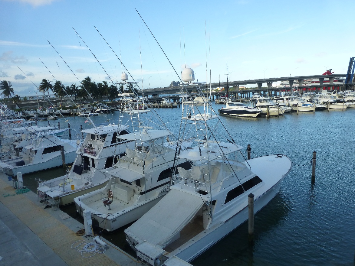 Fishing boats