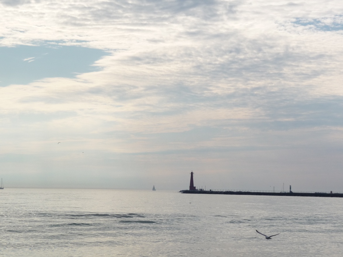 Lighthouse, sailboat and a bird