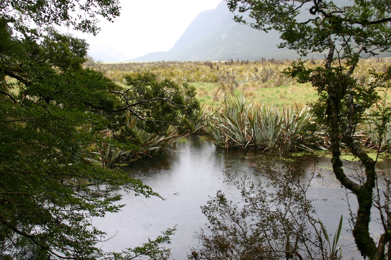 Nature