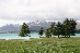 IMG_0784