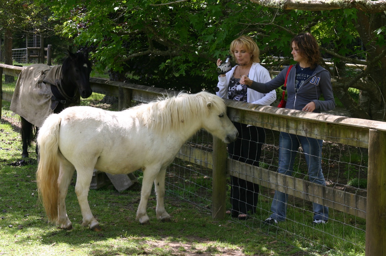 Sveta, Anna, pony